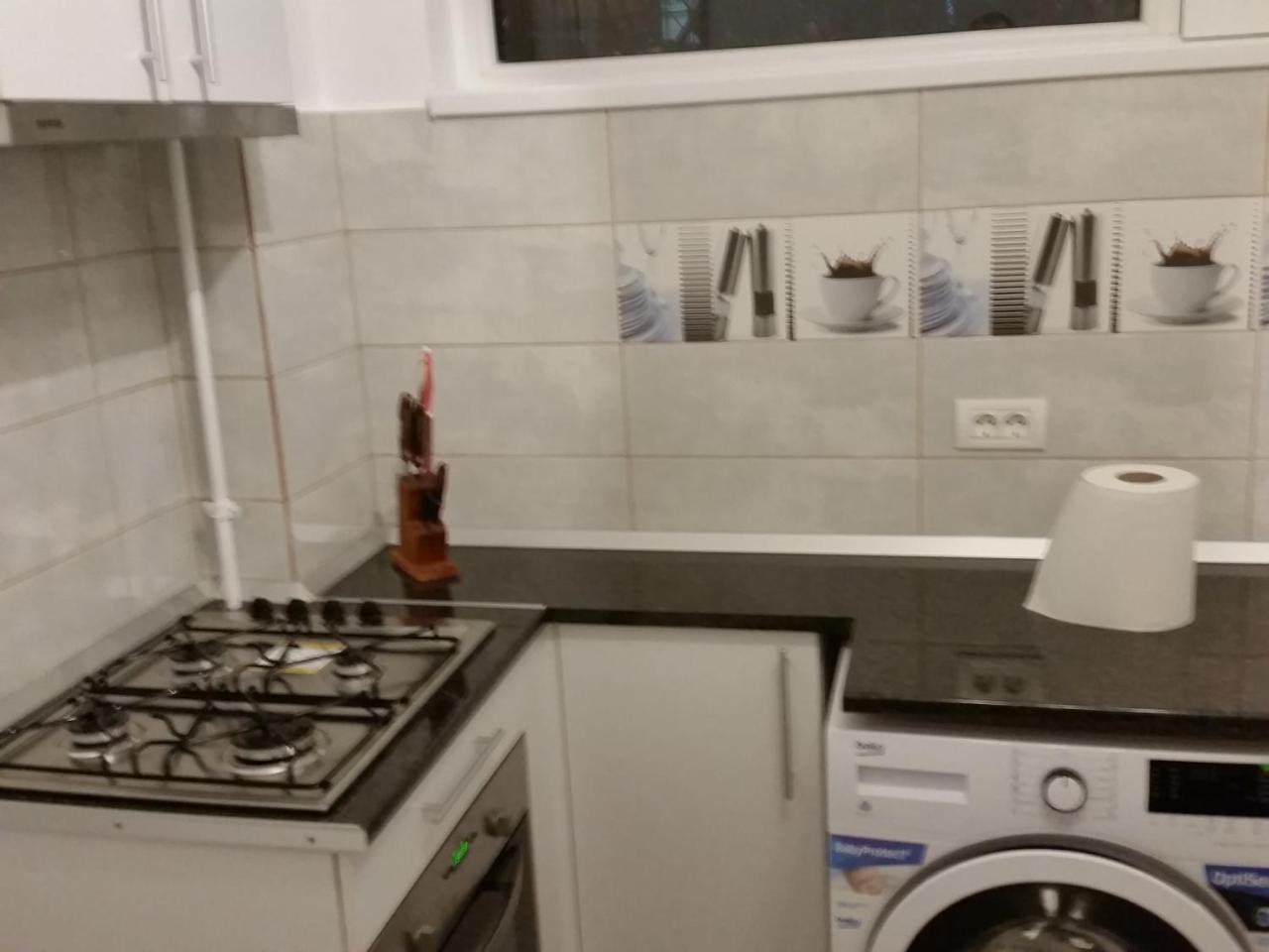 Grozavesti Apartment Near Politehnic Park Bukares Bagian luar foto