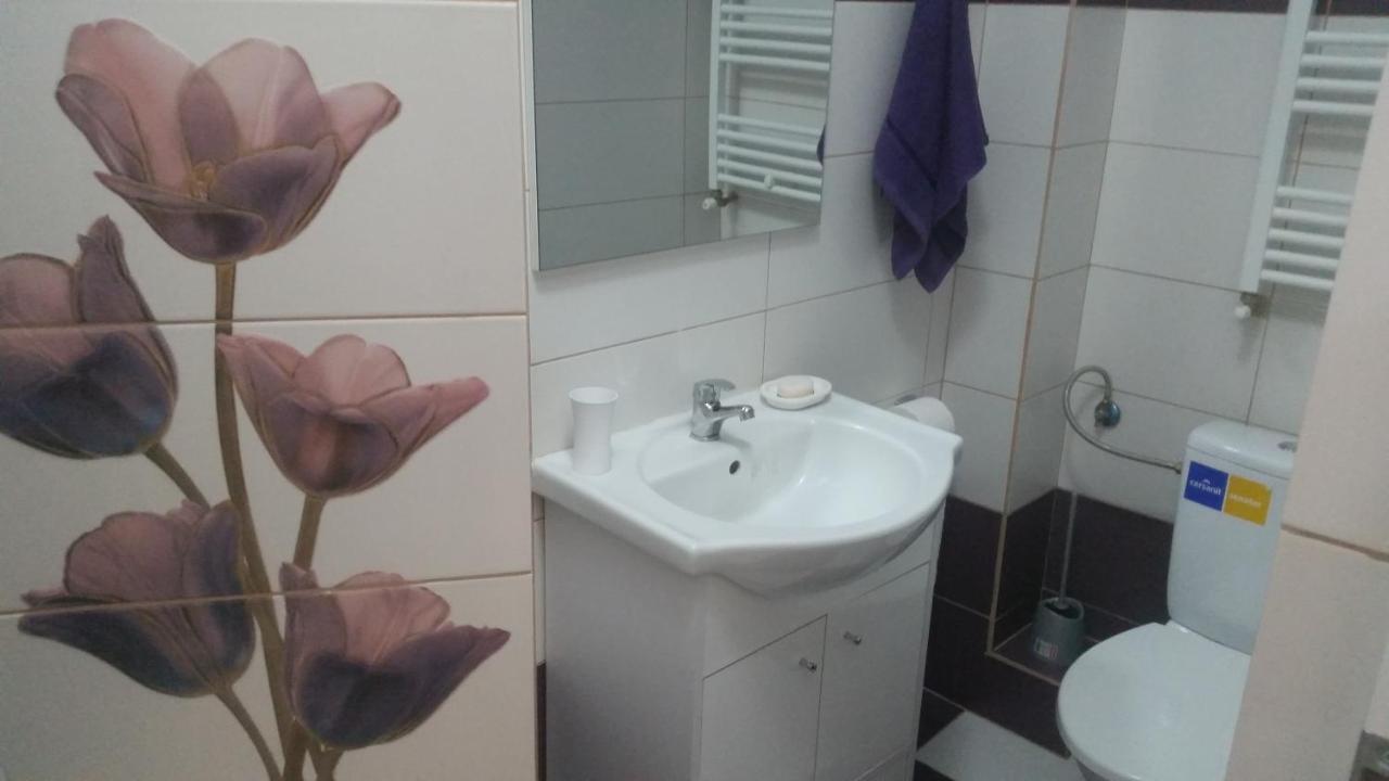 Grozavesti Apartment Near Politehnic Park Bukares Bagian luar foto
